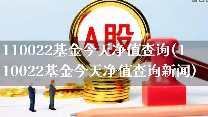 110022基金今天净值查询(110022基金今天净值查询新闻)_https://www.shshucaipeisong.com_科创板_第1张