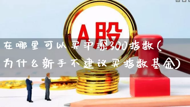 在哪里可以买沪深300指数(为什么新手不建议买指数基金)_https://www.shshucaipeisong.com_深交所_第1张