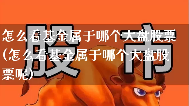 怎么看基金属于哪个大盘股票(怎么看基金属于哪个大盘股票呢)_https://www.shshucaipeisong.com_创业板_第1张
