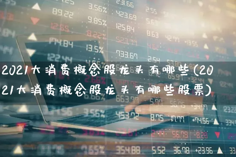 2021大消费概念股龙头有哪些(2021大消费概念股龙头有哪些股票)_https://www.shshucaipeisong.com_上交所_第1张