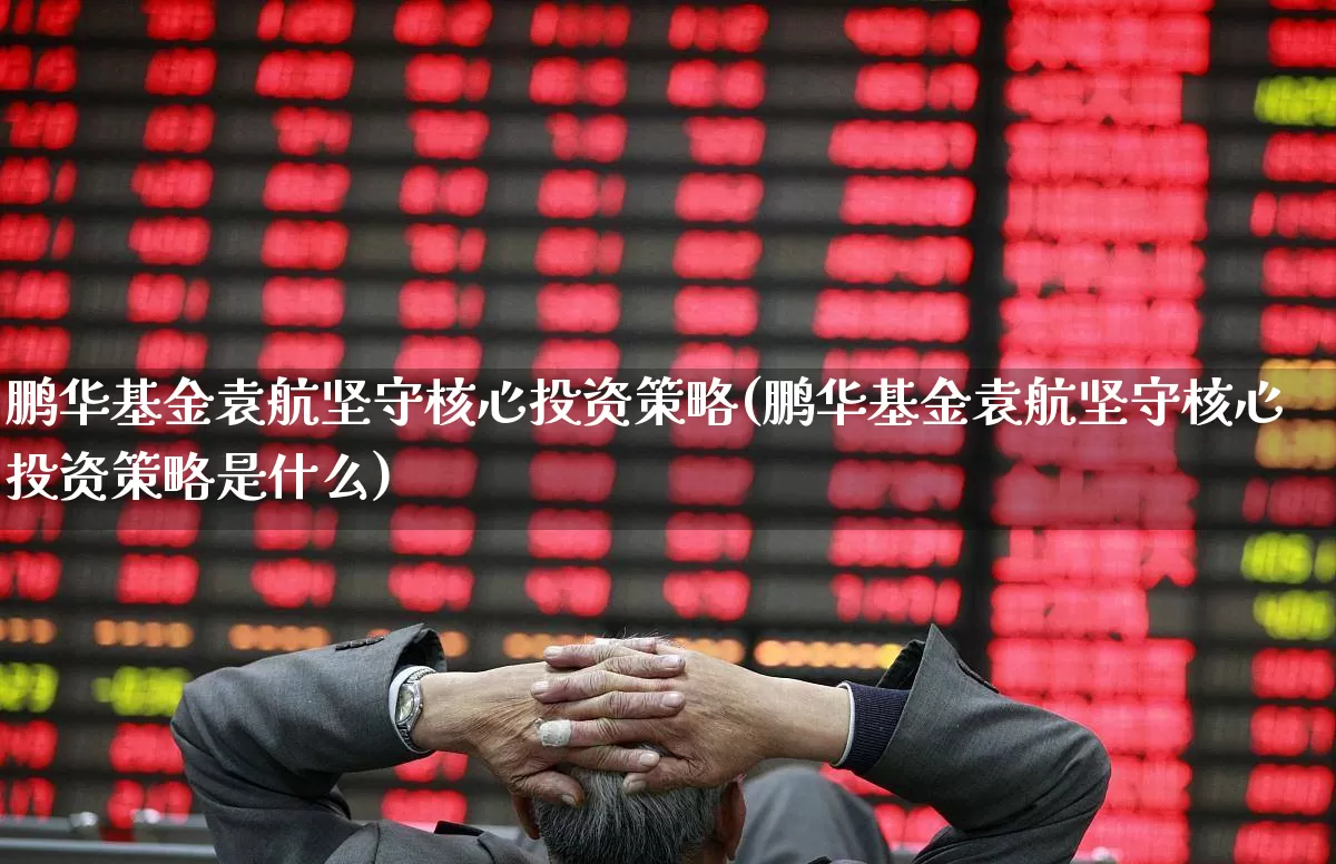 鹏华基金袁航坚守核心投资策略(鹏华基金袁航坚守核心投资策略是什么)_https://www.shshucaipeisong.com_北交所_第1张