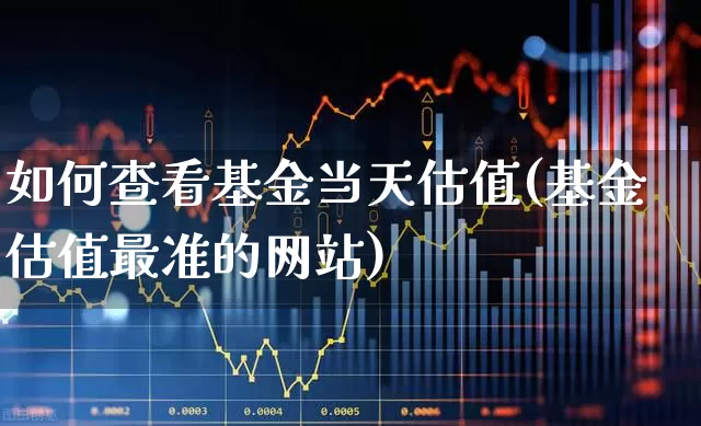 如何查看基金当天估值(基金估值最准的网站)_https://www.shshucaipeisong.com_北交所_第1张