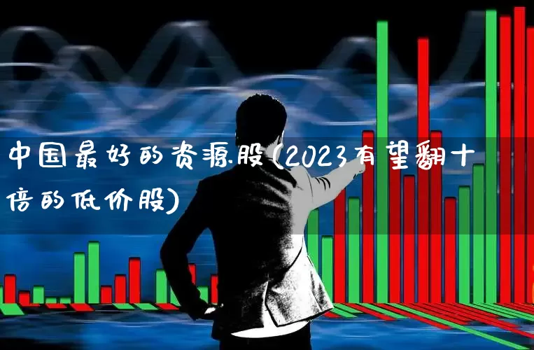 中国最好的资源股(2023有望翻十倍的低价股)_https://www.shshucaipeisong.com_创业板_第1张