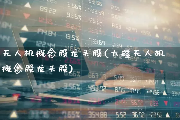 无人机概念股龙头股(大疆无人机概念股龙头股)_https://www.shshucaipeisong.com_深交所_第1张