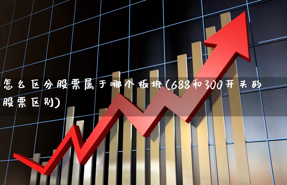 怎么区分股票属于哪个板块(688和300开头的股票区别)_https://www.shshucaipeisong.com_科创板_第1张