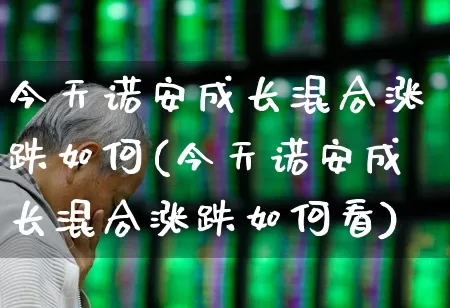 今天诺安成长混合涨跌如何(今天诺安成长混合涨跌如何看)_https://www.shshucaipeisong.com_北交所_第1张