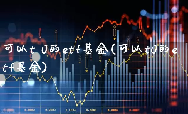 可以t 0的etf基金(可以t0的etf基金)_https://www.shshucaipeisong.com_北交所_第1张