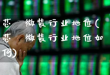 芯碁微装行业地位(芯碁微装行业地位如何)_https://www.shshucaipeisong.com_创业板_第1张