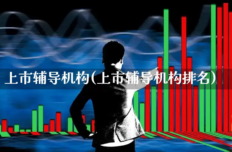 上市辅导机构(上市辅导机构排名)_https://www.shshucaipeisong.com_深交所_第1张