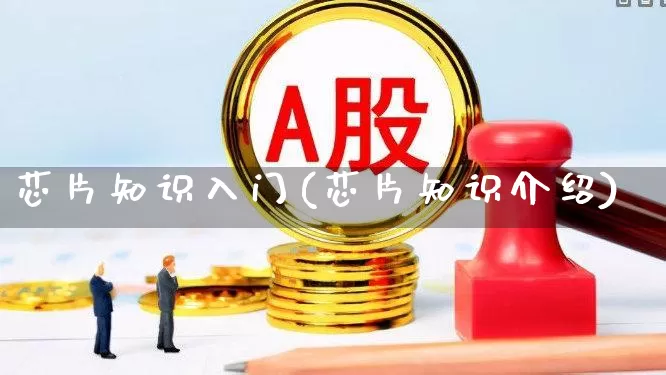 芯片知识入门(芯片知识介绍)_https://www.shshucaipeisong.com_科创板_第1张