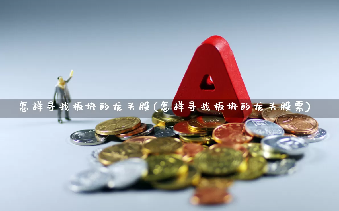 怎样寻找板块的龙头股(怎样寻找板块的龙头股票)_https://www.shshucaipeisong.com_上交所_第1张