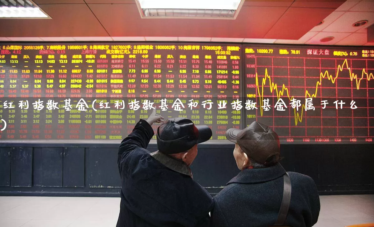 红利指数基金(红利指数基金和行业指数基金都属于什么)_https://www.shshucaipeisong.com_深交所_第1张