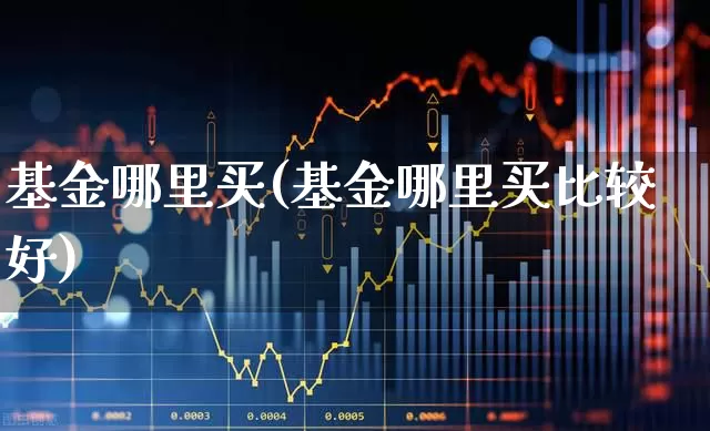 基金哪里买(基金哪里买比较好)_https://www.shshucaipeisong.com_创业板_第1张