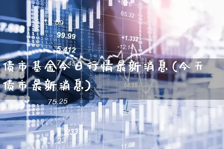 债市基金今日行情最新消息(今天债市最新消息)_https://www.shshucaipeisong.com_深交所_第1张