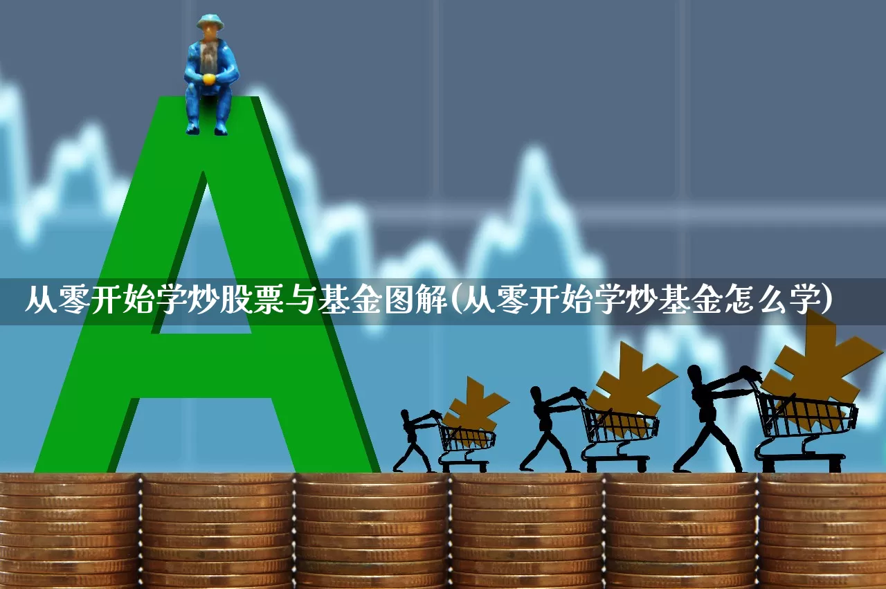 从零开始学炒股票与基金图解(从零开始学炒基金怎么学)_https://www.shshucaipeisong.com_北交所_第1张