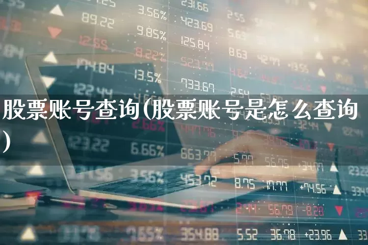 股票账号查询(股票账号是怎么查询)_https://www.shshucaipeisong.com_科创板_第1张