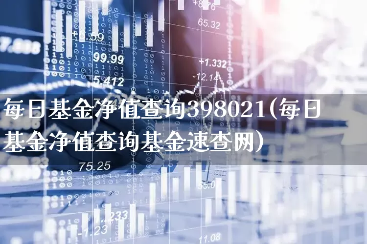 每日基金净值查询398021(每日基金净值查询基金速查网)_https://www.shshucaipeisong.com_上交所_第1张