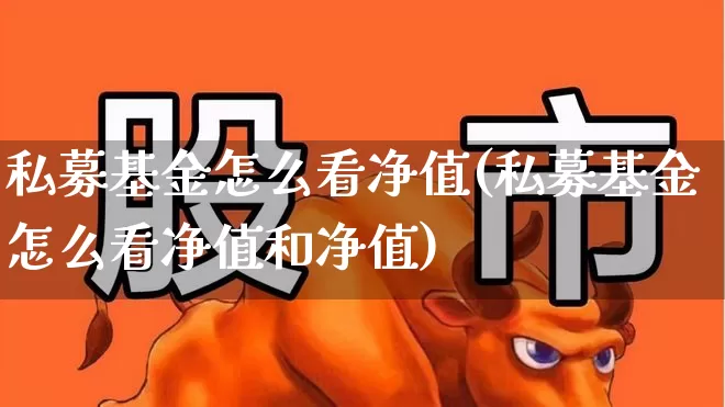 私募基金怎么看净值(私募基金怎么看净值和净值)_https://www.shshucaipeisong.com_深交所_第1张
