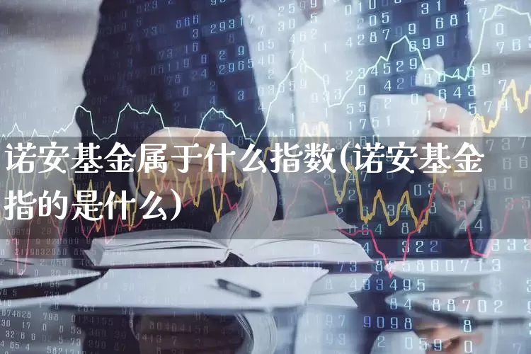 诺安基金属于什么指数(诺安基金指的是什么)_https://www.shshucaipeisong.com_深交所_第1张