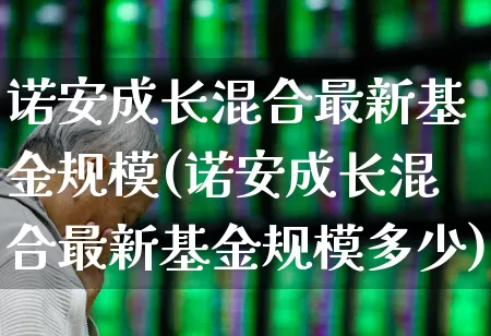 诺安成长混合最新基金规模(诺安成长混合最新基金规模多少)_https://www.shshucaipeisong.com_创业板_第1张