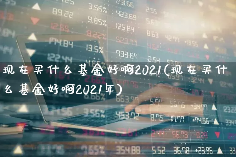 现在买什么基金好啊2021(现在买什么基金好啊2021年)_https://www.shshucaipeisong.com_深交所_第1张