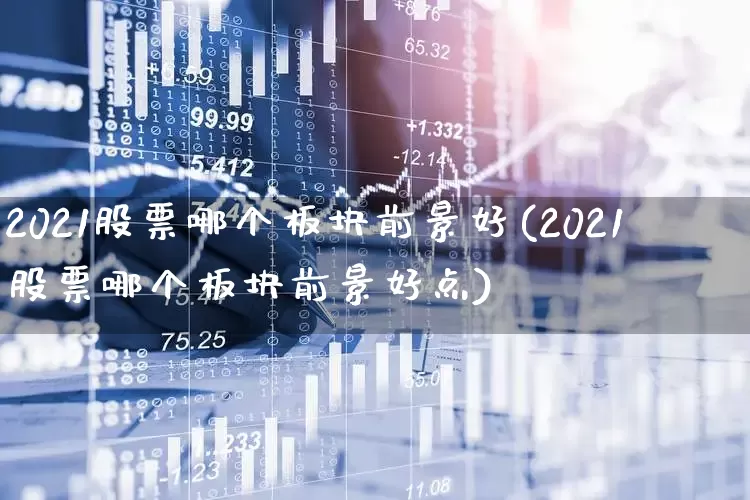 2021股票哪个板块前景好(2021股票哪个板块前景好点)_https://www.shshucaipeisong.com_科创板_第1张