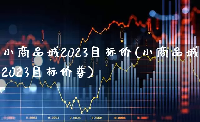 小商品城2023目标价(小商品城2023目标价普)_https://www.shshucaipeisong.com_上交所_第1张