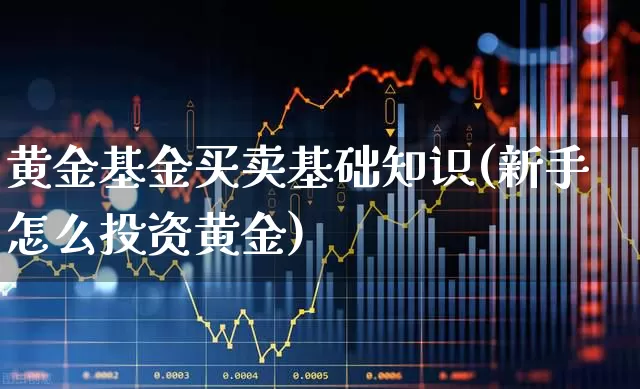 黄金基金买卖基础知识(新手怎么投资黄金)_https://www.shshucaipeisong.com_创业板_第1张