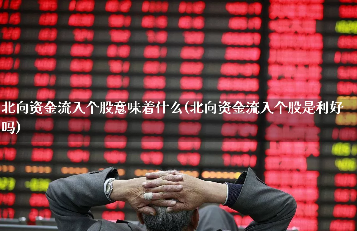 北向资金流入个股意味着什么(北向资金流入个股是利好吗)_https://www.shshucaipeisong.com_深交所_第1张