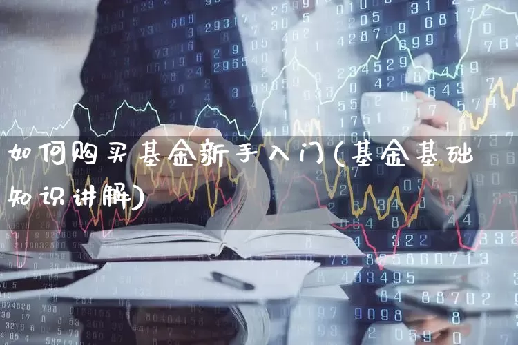 如何购买基金新手入门(基金基础知识讲解)_https://www.shshucaipeisong.com_北交所_第1张