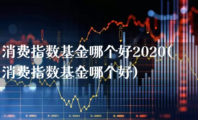消费指数基金哪个好2020(消费指数基金哪个好)_https://www.shshucaipeisong.com_北交所_第1张