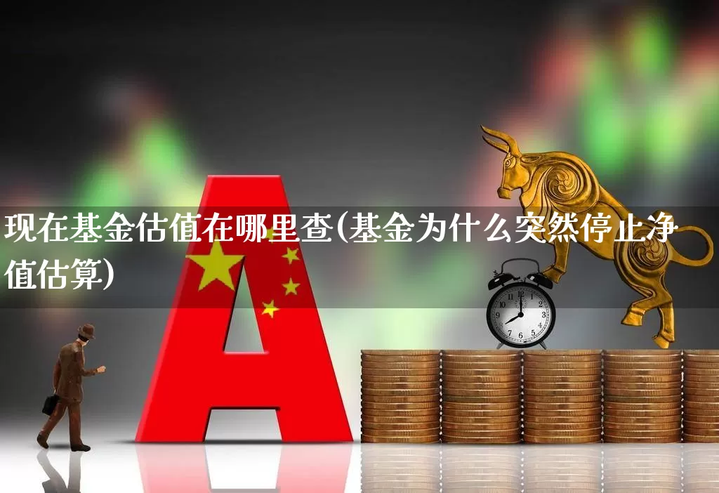 现在基金估值在哪里查(基金为什么突然停止净值估算)_https://www.shshucaipeisong.com_创业板_第1张