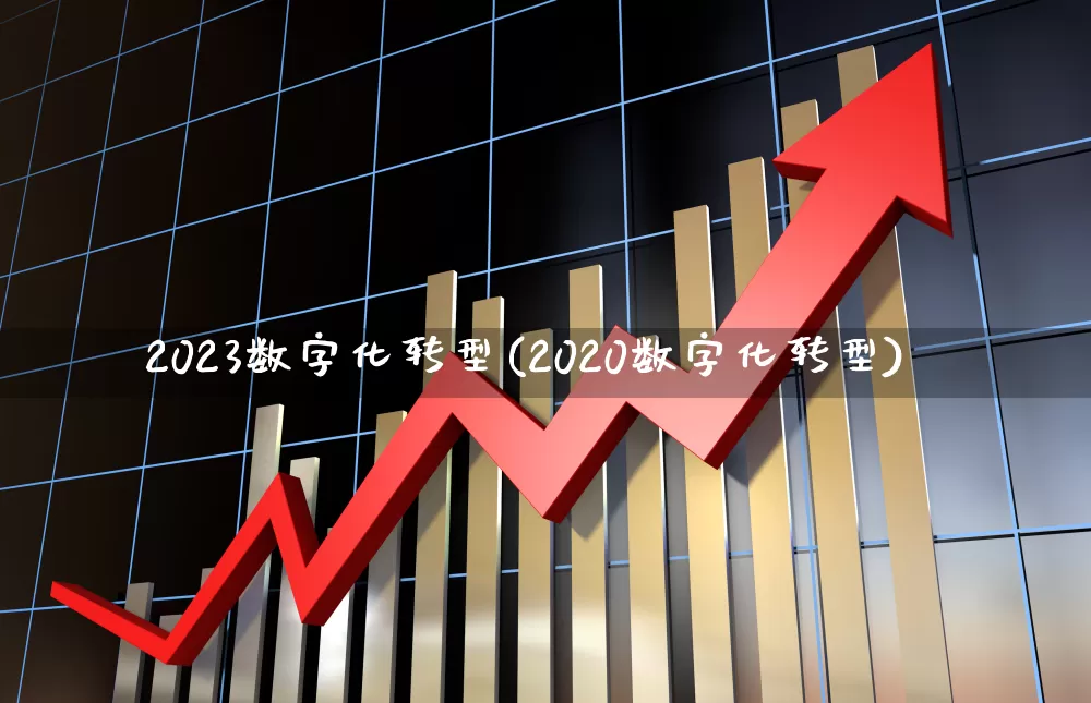 2023数字化转型(2020数字化转型)_https://www.shshucaipeisong.com_上交所_第1张