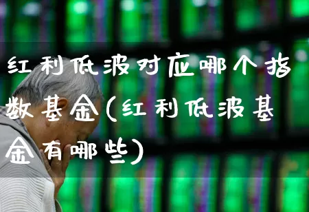 红利低波对应哪个指数基金(红利低波基金有哪些)_https://www.shshucaipeisong.com_上交所_第1张