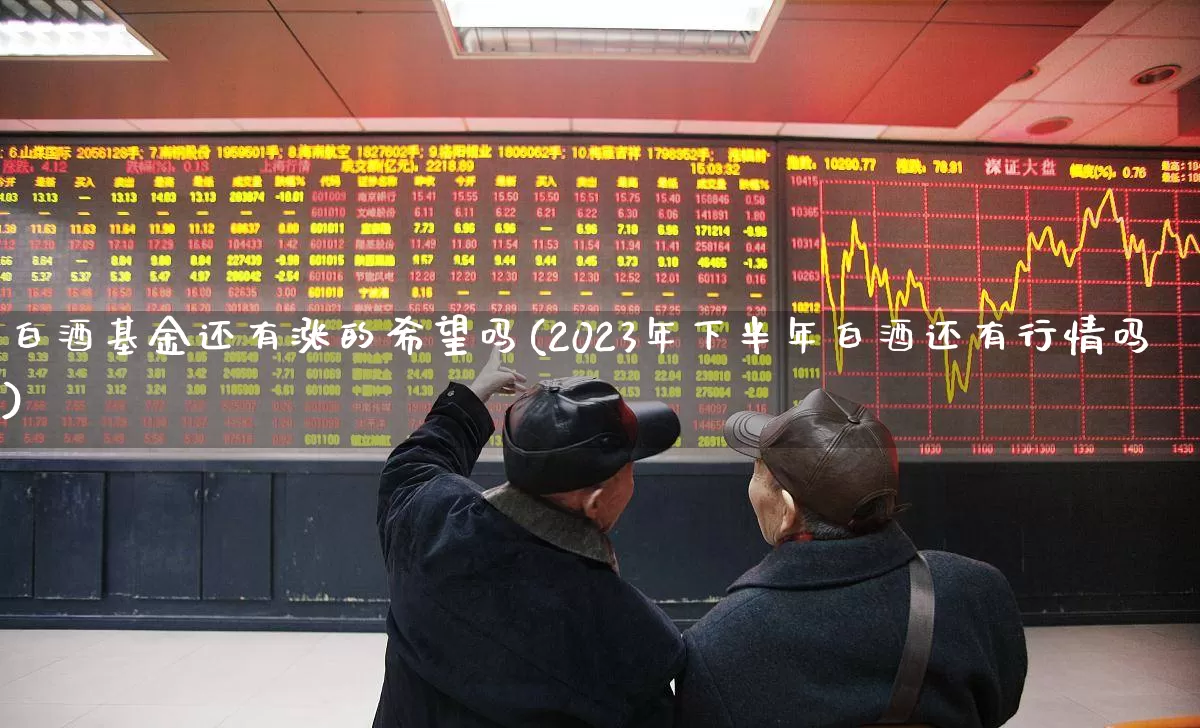 白酒基金还有涨的希望吗(2023年下半年白酒还有行情吗)_https://www.shshucaipeisong.com_北交所_第1张