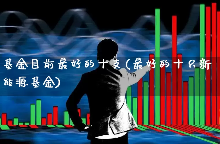 基金目前最好的十支(最好的十只新能源基金)_https://www.shshucaipeisong.com_上交所_第1张