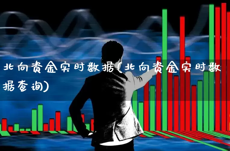 北向资金实时数据(北向资金实时数据查询)_https://www.shshucaipeisong.com_深交所_第1张