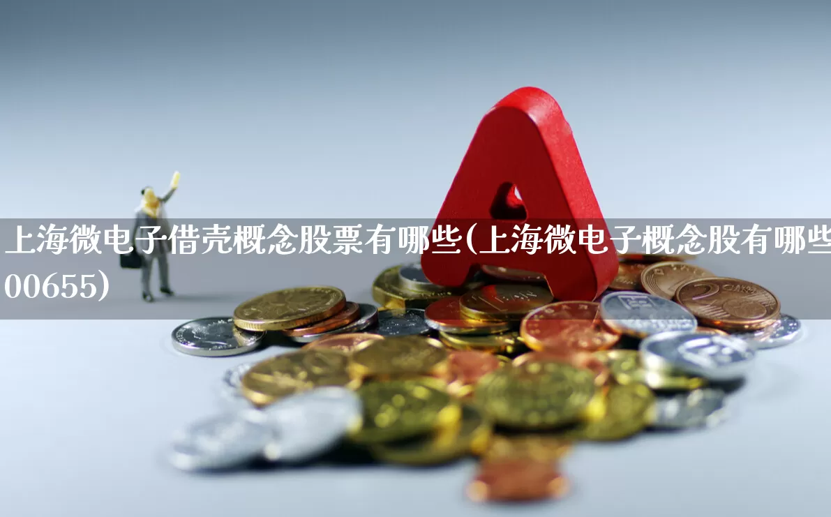 上海微电子借壳概念股票有哪些(上海微电子概念股有哪些300655)_https://www.shshucaipeisong.com_北交所_第1张