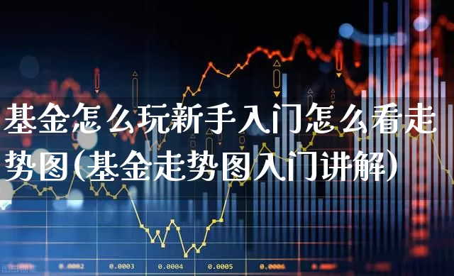 基金怎么玩新手入门怎么看走势图(基金走势图入门讲解)_https://www.shshucaipeisong.com_北交所_第1张