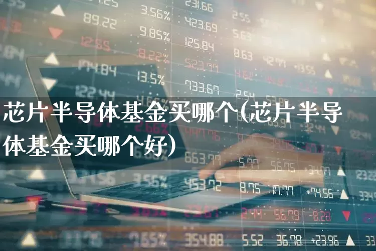 芯片半导体基金买哪个(芯片半导体基金买哪个好)_https://www.shshucaipeisong.com_上交所_第1张