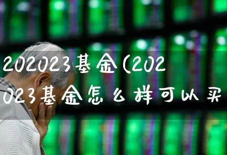 202023基金(202023基金怎么样可以买吗)_https://www.shshucaipeisong.com_上交所_第1张