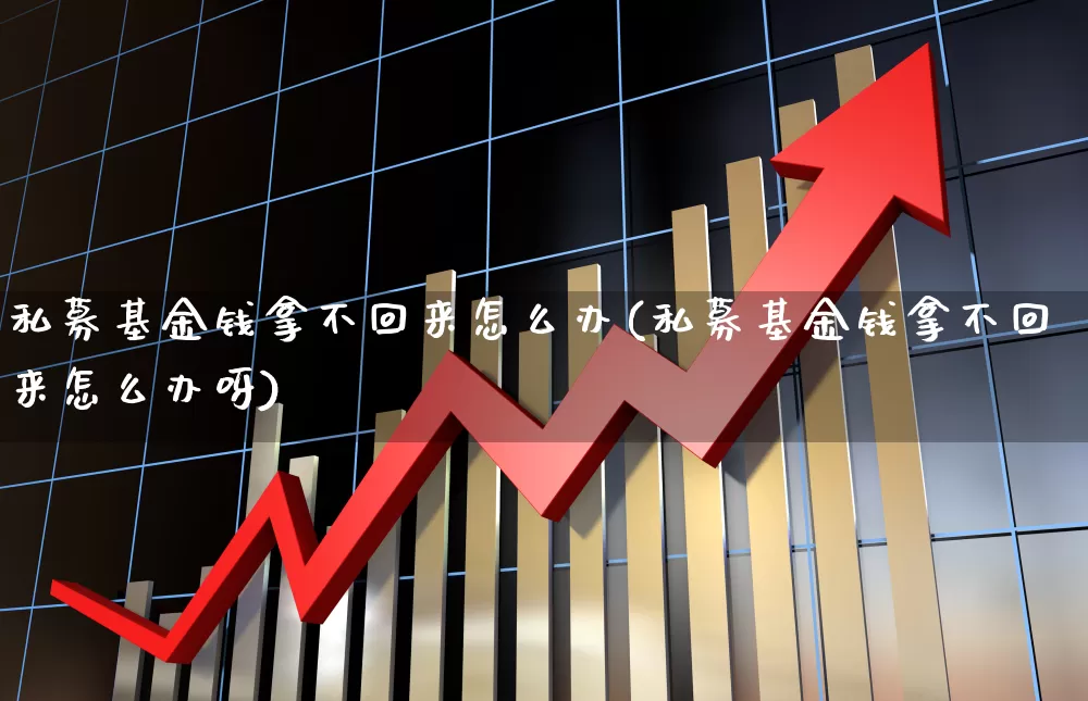 私募基金钱拿不回来怎么办(私募基金钱拿不回来怎么办呀)_https://www.shshucaipeisong.com_科创板_第1张