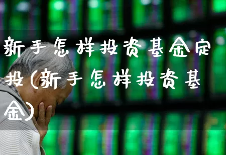 新手怎样投资基金定投(新手怎样投资基金)_https://www.shshucaipeisong.com_上交所_第1张