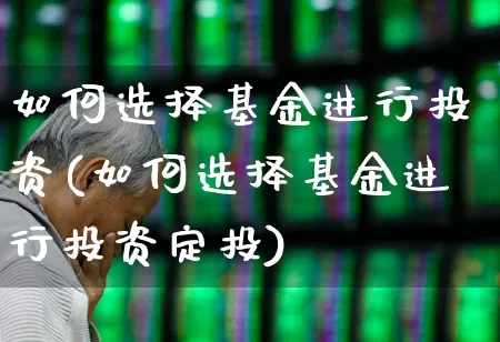 如何选择基金进行投资(如何选择基金进行投资定投)_https://www.shshucaipeisong.com_创业板_第1张