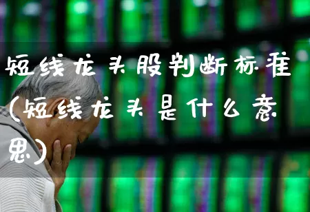 短线龙头股判断标准(短线龙头是什么意思)_https://www.shshucaipeisong.com_科创板_第1张