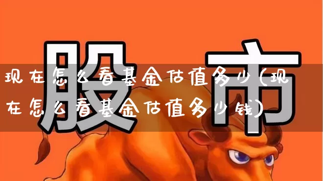 现在怎么看基金估值多少(现在怎么看基金估值多少钱)_https://www.shshucaipeisong.com_创业板_第1张