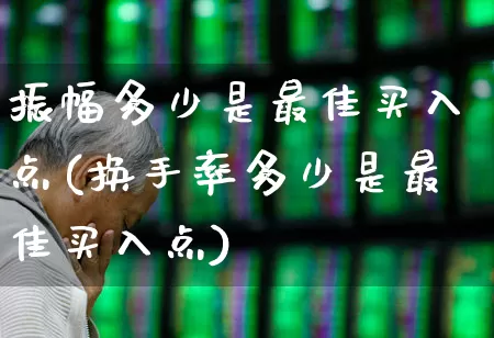 振幅多少是最佳买入点(换手率多少是最佳买入点)_https://www.shshucaipeisong.com_创业板_第1张