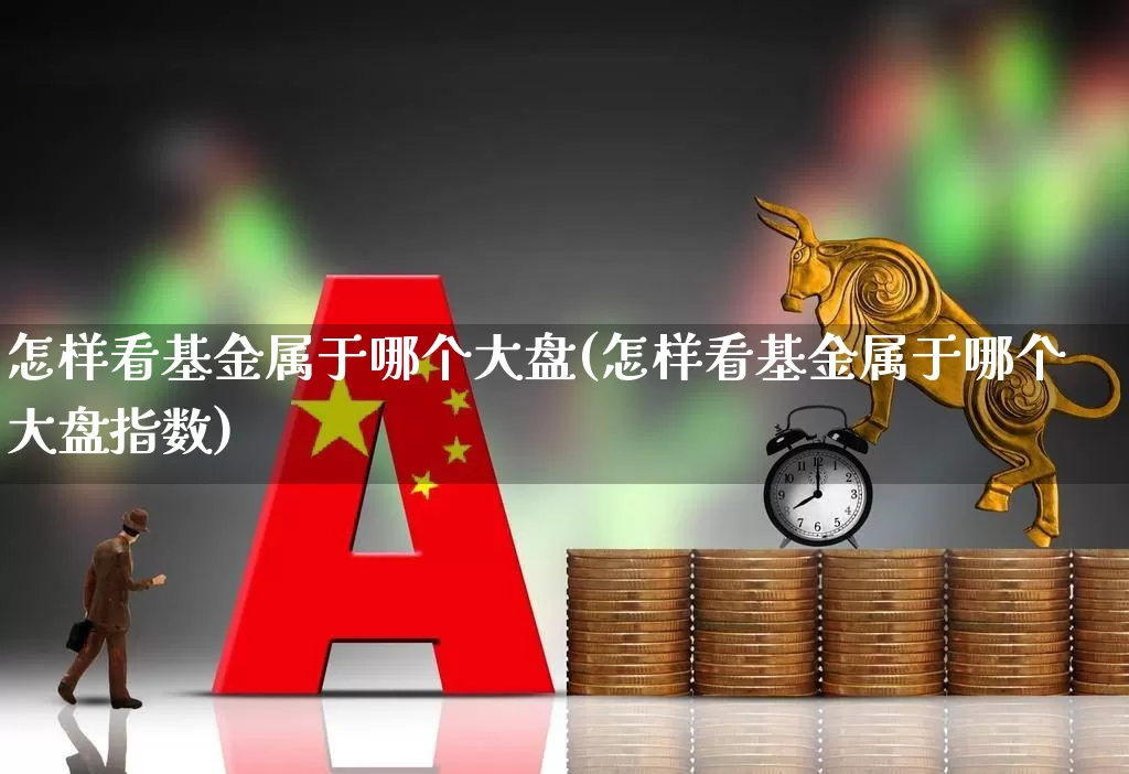 怎样看基金属于哪个大盘(怎样看基金属于哪个大盘指数)_https://www.shshucaipeisong.com_上交所_第1张