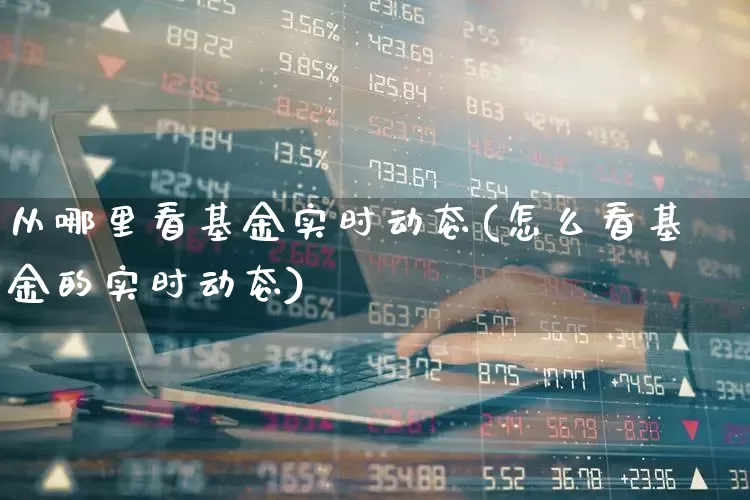 从哪里看基金实时动态(怎么看基金的实时动态)_https://www.shshucaipeisong.com_深交所_第1张