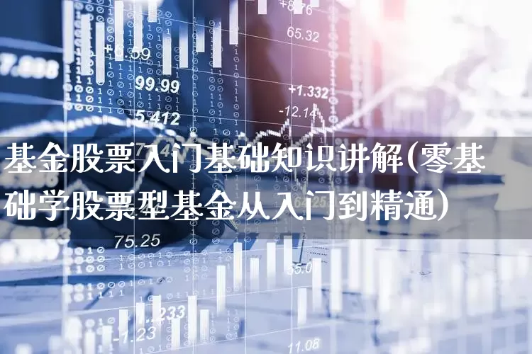 基金股票入门基础知识讲解(零基础学股票型基金从入门到精通)_https://www.shshucaipeisong.com_创业板_第1张